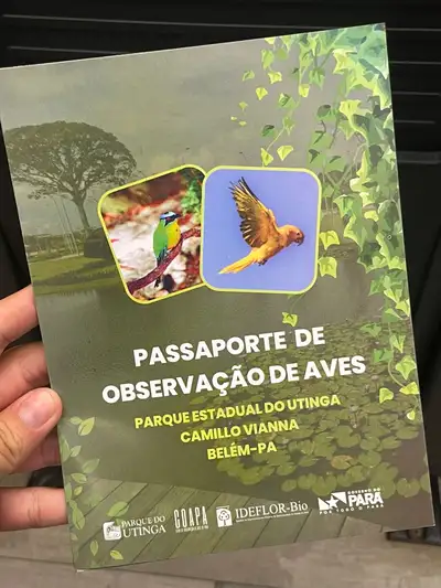 Crédito: Divulgação