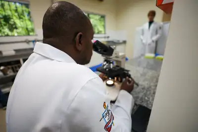 notícia: Laboratório impulsiona conservação ambiental e bioeconomia na Amazônia com pesquisas inovadoras