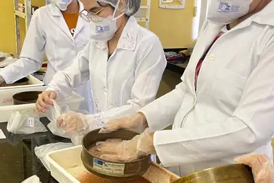 notícia: Pesquisa no Pará utiliza mandioca e caroço de açaí na produção de embalagens sustentáveis
