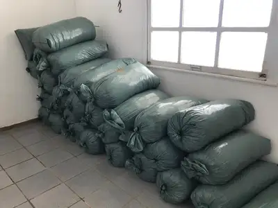 notícia: Sedap e Embrapa alinham parceria para beneficiar pequeno pecuarista no Marajó