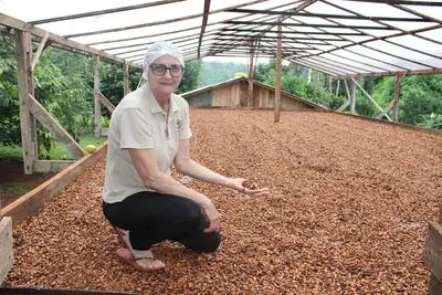notícia: Governo investe na verticalização da produção de chocolate e criação de agroindústrias