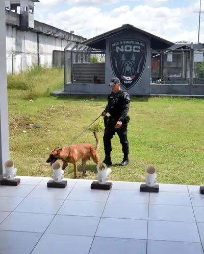 Crédito: Elielson Modesto/ NCS Seap