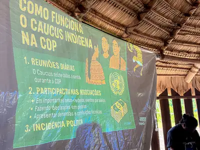 notícia: Caravana rumo à COP30 chega à etnorregião de Altamira com participação de nove povos indígenas
