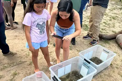 notícia: Soltura de 140 quelônios marca celebração à vida e à natureza em Salvaterra no Marajó