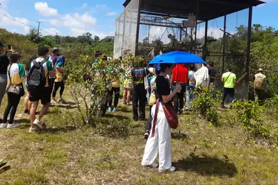 notícia: Juventude empreendedora conhece Projeto Ararajubas e biodiversidade amazônica no Parque Estadual do Utinga