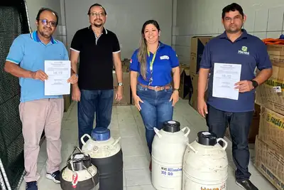 notícia: Sedap repassa a municípios quase 15 mil doses de material bovino com melhoramento genético