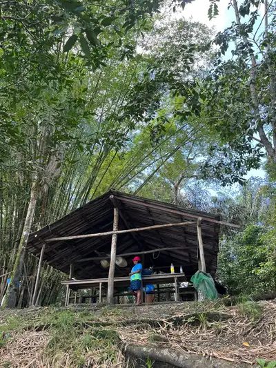 notícia: Semas visita produção de ostras em Curuçá e fortalece uso sustentável dos recursos costeiros