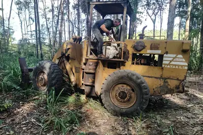 notícia: Em Novo Progresso, ‘Operação Curupira’ prende em flagrante dono de área desmatada