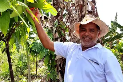 notícia: Chocolates fabricados com amêndoas produzidas no Pará ganham ouro, prata e bronze em concurso nacional