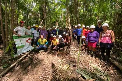 notícia: Emater incentiva manejo de açaí para quadruplicar renda na Ilha do Marajó