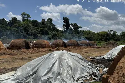 notícia: Homem é preso pela Polícia Civil, em Rondo do Pará, por crime ambiental