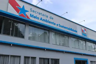 notícia: Semas anuncia leilão de produtos florestais e bens apreendidos em ações de fiscalização