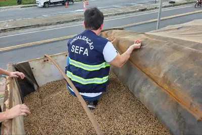 notícia: Sefa apreende 12 toneladas de suínos vivos e mais de 85 mil kg de soja