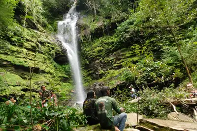 notícia: Parques Ambientais preservam a biodiversidade e impulsionam o turismo sustentável no Pará