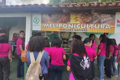 notícia: Modelo Rural da Emater mostra avanços da agricultura familiar em Feira Agropecuária 