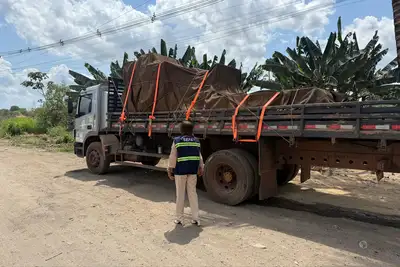 notícia: Secretaria da Fazenda (Sefa) apreende 18 equipamentos de pilates e reabilitação
