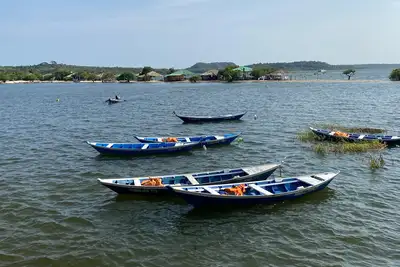 notícia: Companhia de Abastecimento (Cosanpa) reforça serviços em Alter do Chão para Sairé 