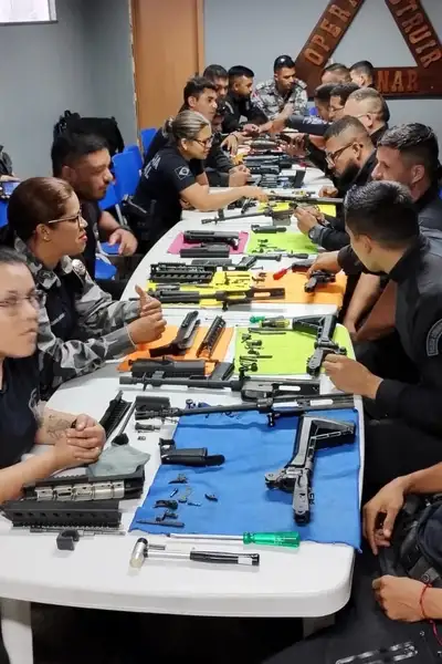 Crédito: 13º Curso Gamaação