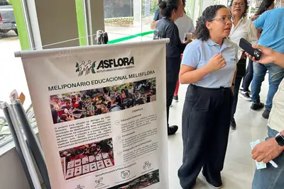 notícia: Abelhas sem ferrão ganham protagonismo no 1º Congresso Paraense de Trilhas