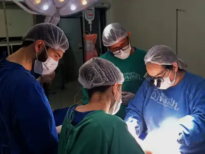 notícia: Hospital Regional de Santarém realiza captação de órgãos no Setembro Verde 