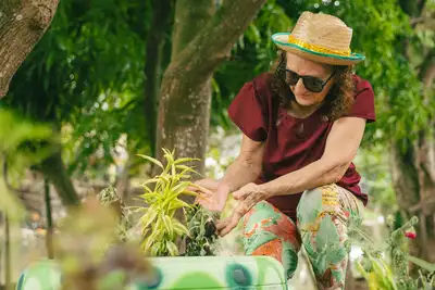 notícia: CIIR conquista pelo quarto ano consecutivo o Selo Verde Chico Mendes