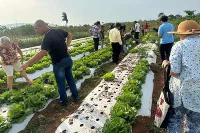 notícia: Agrônomos são essenciais para fortalecer desenvolvimento sustentável no Pará