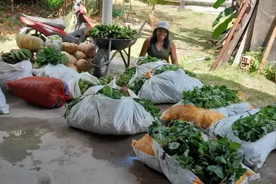 notícia: Governo do Pará fortalece políticas de segurança alimentar e combate ao desperdício