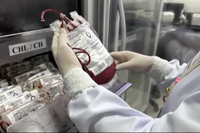 notícia: Programa de Gerenciamento do Uso do Sangue completa um ano de implantação no Hospital de Clínicas