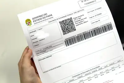 notícia: Estado descaracteriza CPFs em DAEs