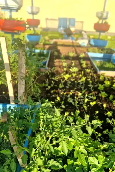 Crédito: Divulgação