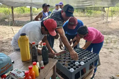 notícia: Emater realiza oficina de uso de adubo orgânico para agricultores de Capanema
