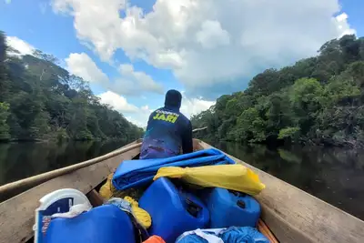 notícia: Parque Estadual das Árvores Gigantes da Amazônia avança para nova fase de implantação