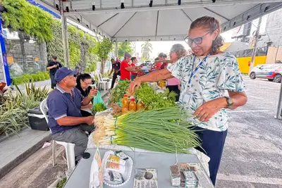 notícia: Semas promove a 10ª Feira da Agricultura Familiar e Empreendedorismo Feminino