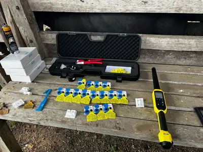 notícia: Adepará reforça alerta sobre prazo para identificação do rebanho e regularização da GTA no Pará