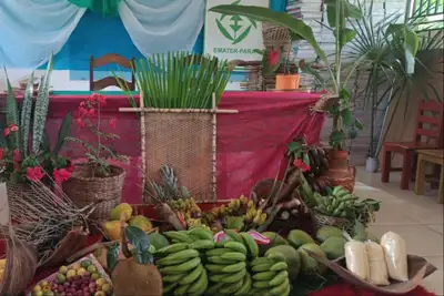 notícia: Agricultoras quilombolas de São Domingos do Capim fornecem alimentos para escolas públicas  