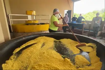 notícia: Adepará certifica primeira agroindústria de farinha indígena do Estado durante a 42ª Expoalta, em Altamira