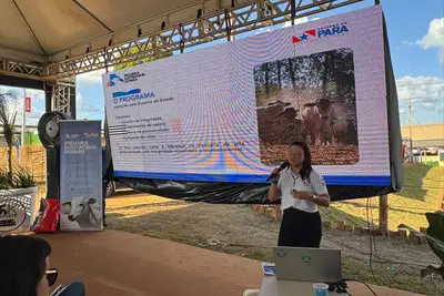 notícia: Estado lança Núcleo de Apoio ao Produtor e reforça compromisso com a pecuária sustentável