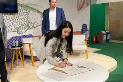 notícia: Pará avança na política de restauração florestal com carta de intenções assinada na COP30