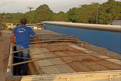 notícia: Sefa apreende placas metálicas e madeira serrada no Pará