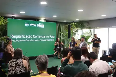 notícia: Pará apresenta avanços na implantação de uma pecuária mais sustentável durante a COP30