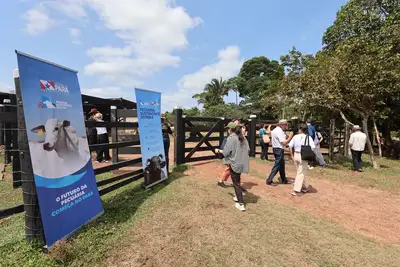notícia: Ministro do clima da Noruega conhece programa Pecuária Sustentável do Pará 