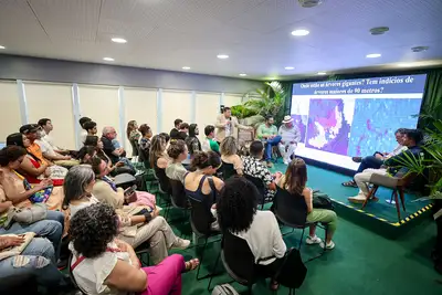 notícia: Pará mostra ao mundo, na COP30, como as árvores gigantes e áreas protegidas fortalecem a agenda climática na Amazônia