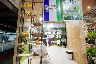 notícia: Pavilhão Pará Municípios na COP30 reforça protagonismo regional e gastronomia