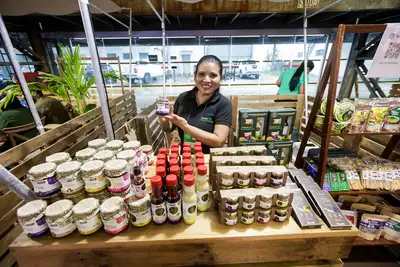 notícia: Pavilhão Pará Municípios na COP30 reforça protagonismo regional e gastronomia