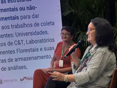 notícia: Da semente ao SAF: Ideflor-Bio apresenta resultados do Prosaf na restauração florestal 