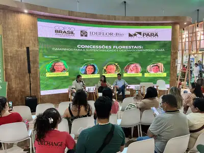 notícia: Concessões florestais ganham destaque na COP30 como modelo de sustentabilidade e desenvolvimento para o Pará