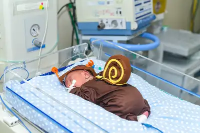 notícia: Em Breves, HRPM celebra mais de 450 partos realizados em 2025