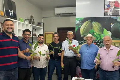 notícia: Sedap repassa 90 mil mudas de bananeiras aos produtores de cacau em 2025