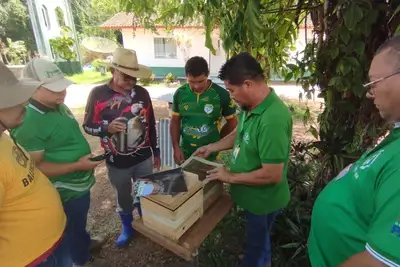 notícia: Emater celebra 60 anos com treinamento sobre práticas sustentáveis na produção de farinha