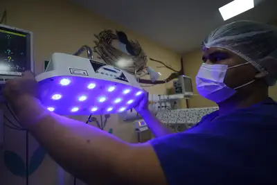 notícia: Fapespa divulga resultado final de Programa de Pesquisa para aprimoramento do SUS